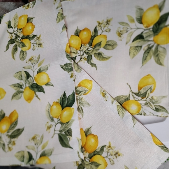 Lemon Pattern S/4  Fabric Placemats 11" x 17" One Oven mitt Home Collection - Picture 3 of 6